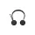 LENOVO 4XD1M80020 AUDIO_BO VOIP STEREO HEADSET